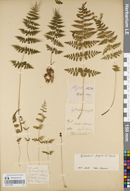 LE 01171901