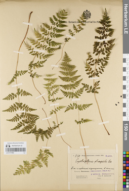 LE 01171902