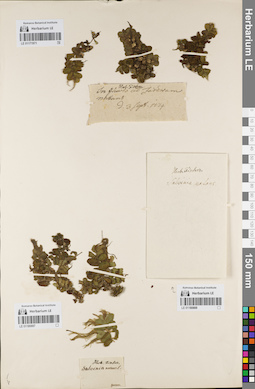 LE 01180887