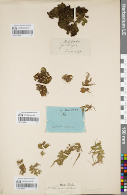 LE 01180889