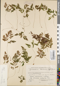LE 01172435