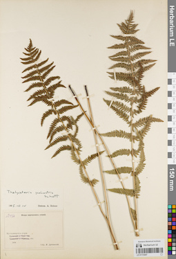 LE 01172447