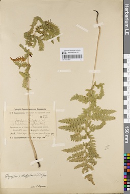 LE 01172482