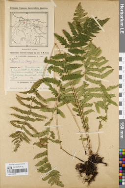 LE 01175170