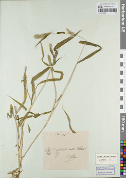 LE 01155890