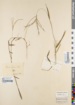 LE 01155914