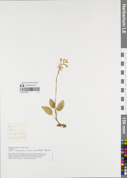 LE 01077926