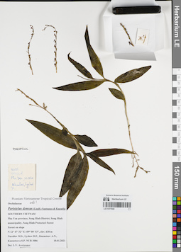 LE 01077950