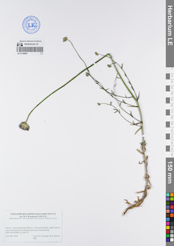 LE 01109081