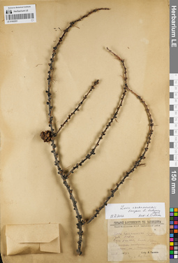 LE 01062051