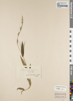 LE 01156122
