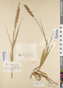 LE 01156154