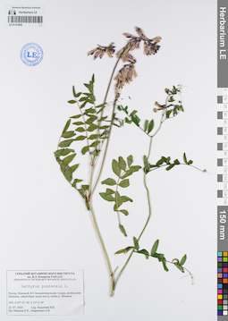 LE 01101905