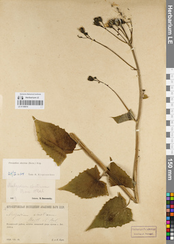 LE 01180914