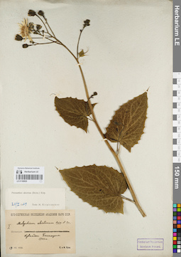 LE 01180920
