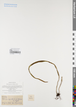 LE 01167263