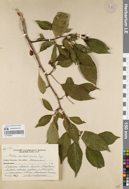 LE 01082072