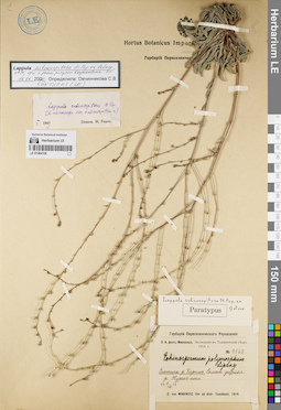 LE 01064108