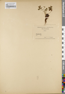 LE 01180922
