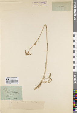 LE 01162866