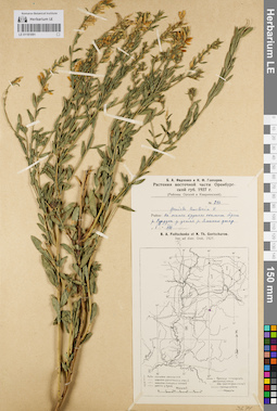 LE 01181091