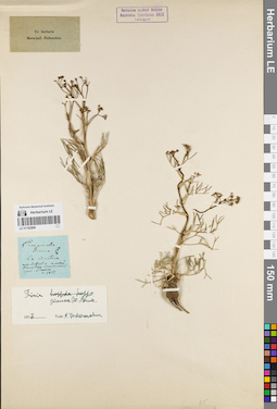 LE 01162908