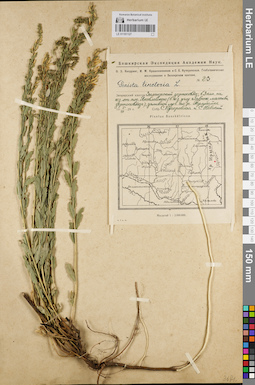 LE 01181127