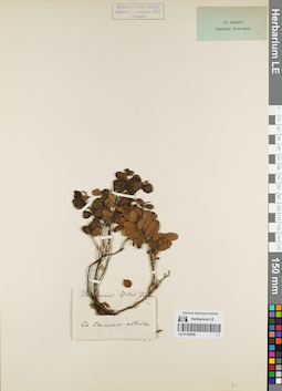 LE 01162949
