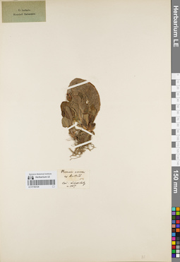 LE 01163124