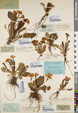 LE 01163127