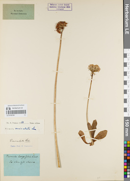 LE 01163139