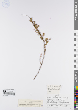 LE 01082080