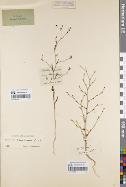 LE 01162787
