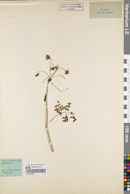 LE 01162801
