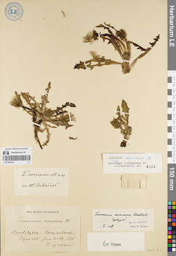 LE 01082103