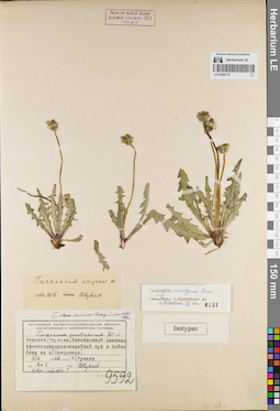 LE 01082112