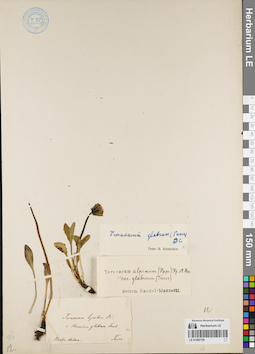 LE 01082158