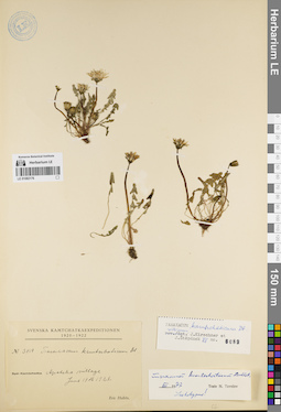 LE 01082176