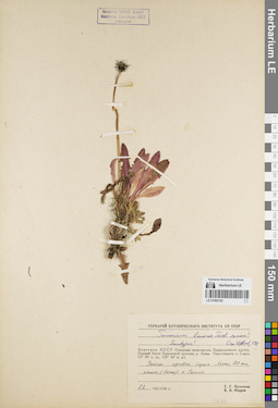LE 01082192