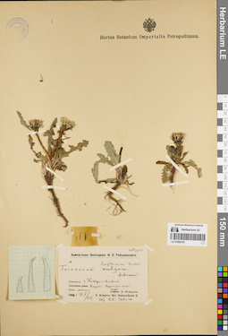 LE 01082193