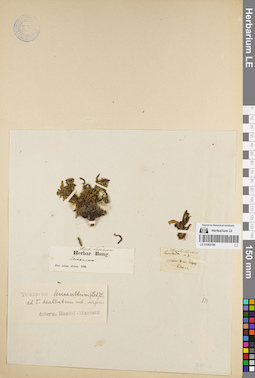 LE 01082196