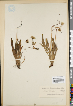 LE 01082198