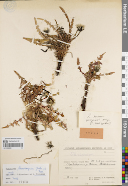 LE 01082206
