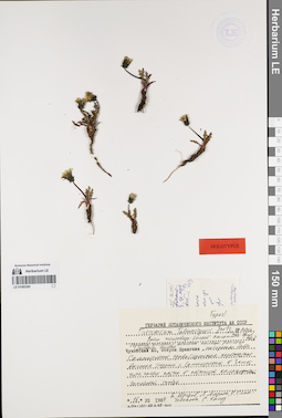 LE 01082260