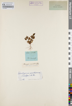LE 01163031