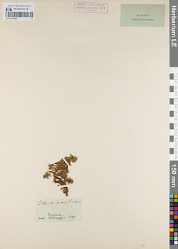 LE 01179162