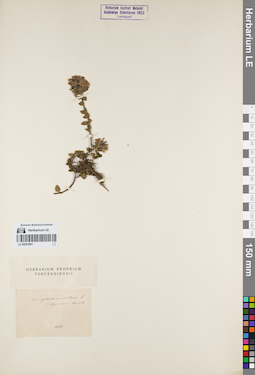 LE 00053891
