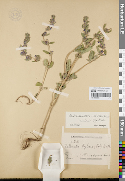 LE 00053901