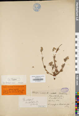 LE 01035815