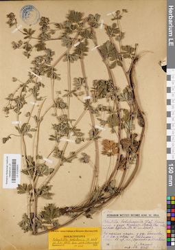 LE 01035820